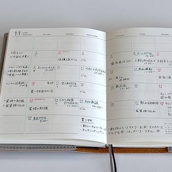 Amazon.co.jp: レイメイ藤井 手帳 2026 スケジュール帳 タック